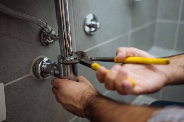 Best Plumbing Services Near Me  in Portales, NM