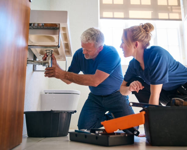 Best Residential Plumbing Services  in Portales, NM